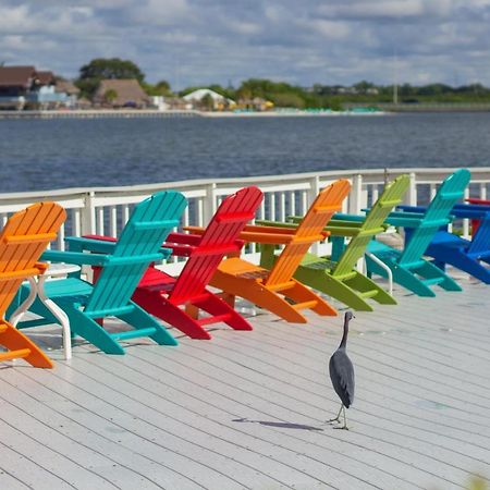 412-Amazing Views, Waterfront, Wifi, Pool, Close To Bucs Stadium Tampa Exteriör bild
