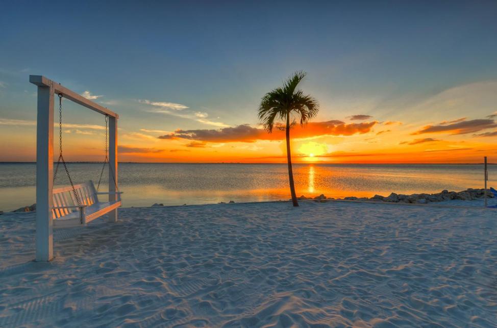 412-Amazing Views, Waterfront, Wifi, Pool, Close To Bucs Stadium Tampa Exteriör bild
